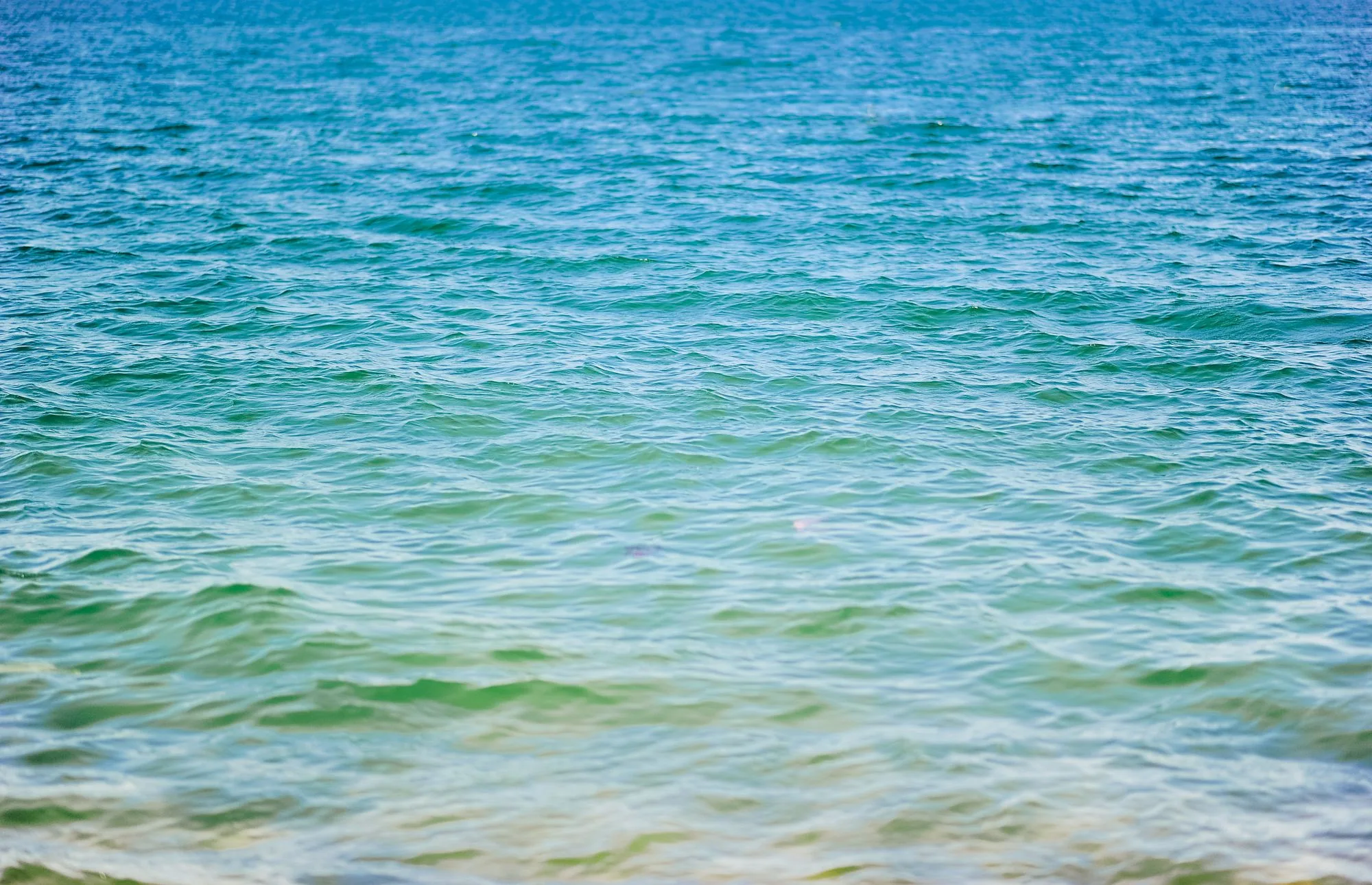 Calm ocean waves gently ripple under a bright blue sky, conveying serenity and vastness.
