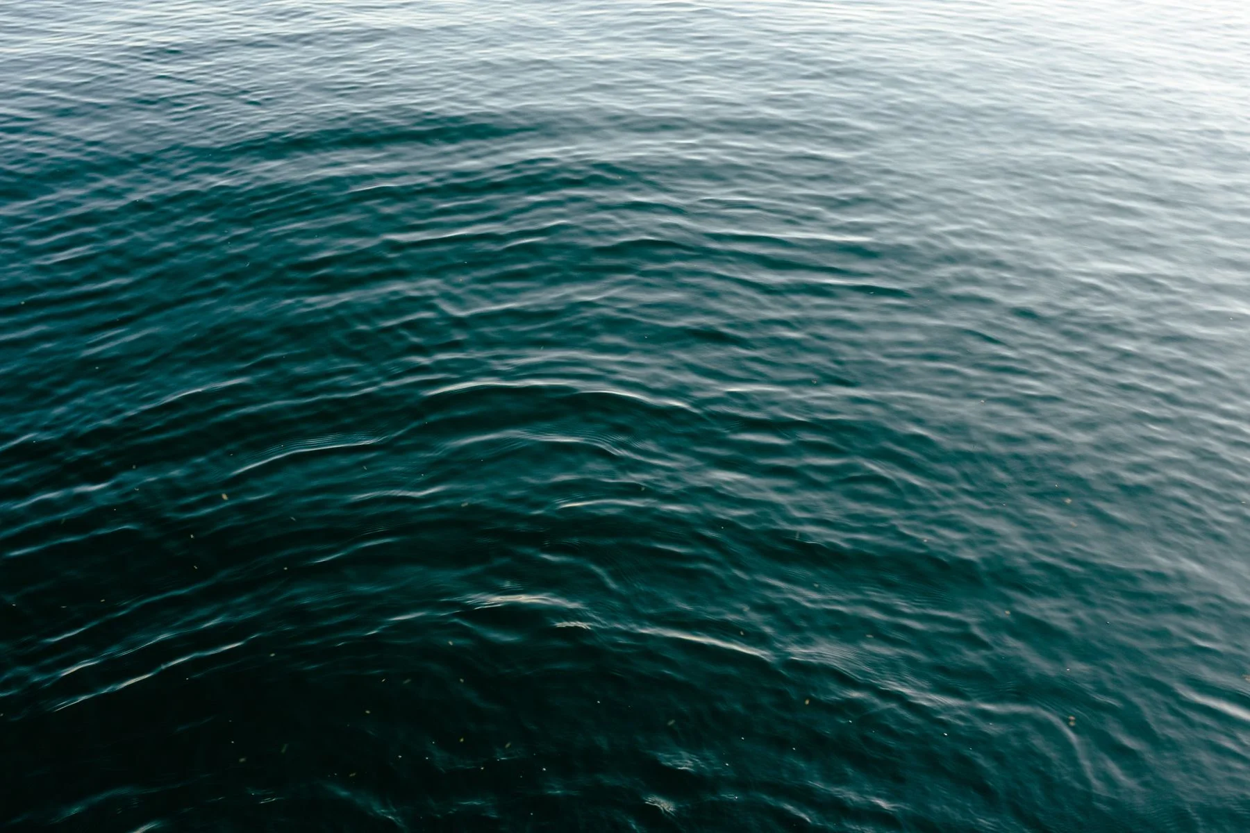 Peaceful ocean surface with gentle ripples and a turquoise hue, capturing a tranquil moment. Editorial illustration for AGTHEORY vs Laneige in Dubai.