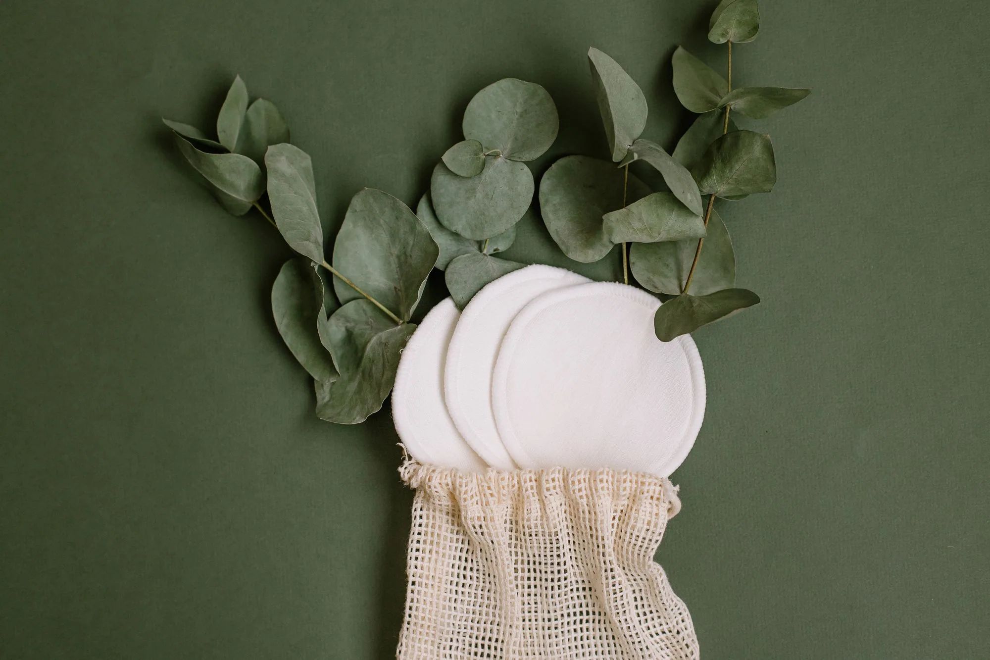 Still life of reusable cotton pads and eucalyptus on green background, promoting sustainable living. Editorial photograph for our eye-sheet guide for Dubai shoppers.